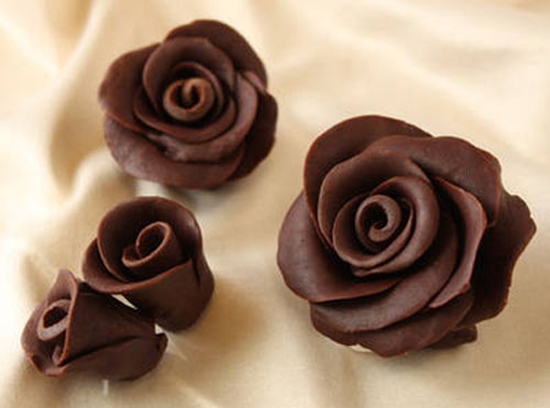 Hoa hồng chocolate vạn người mê