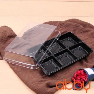 Hộp nhựa 6 ngăn vuông HT530 18x12x5cm