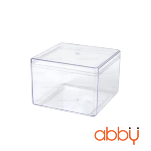 Hộp nhựa vuông 9560 kèm nắp (chiếc)