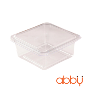 Hộp vuông trong suốt đựng bánh W01 (10 hộp)